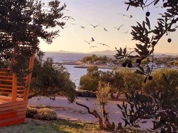Eden Lady Mobile Home, Croatia, Drage Exterior photo